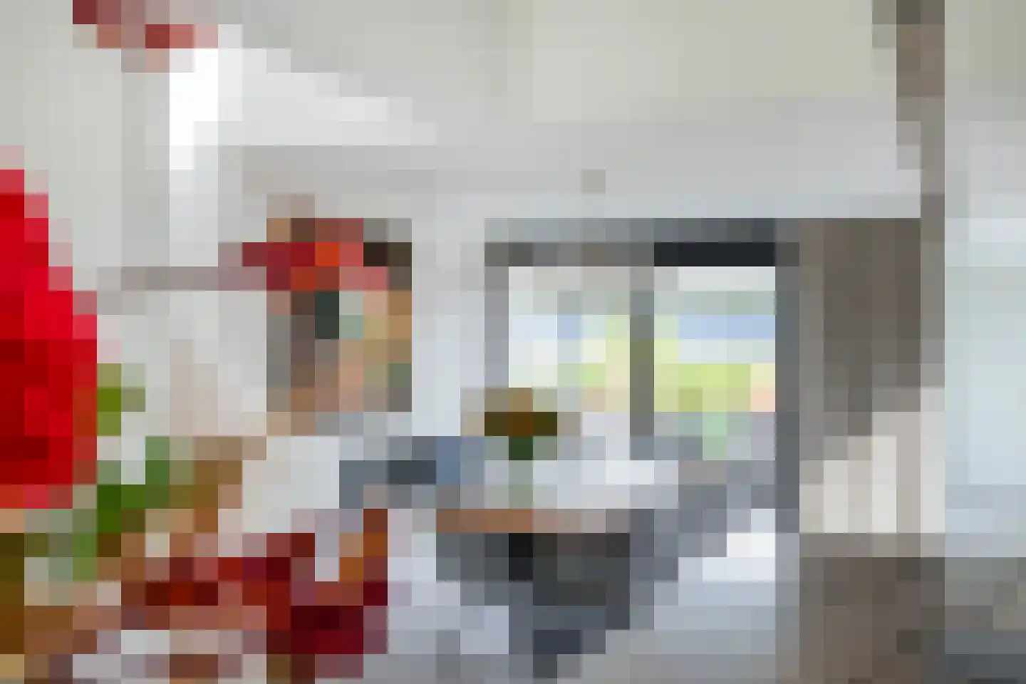 Molenweg 58 Berkel en Rodenrijs thumbnail 23
