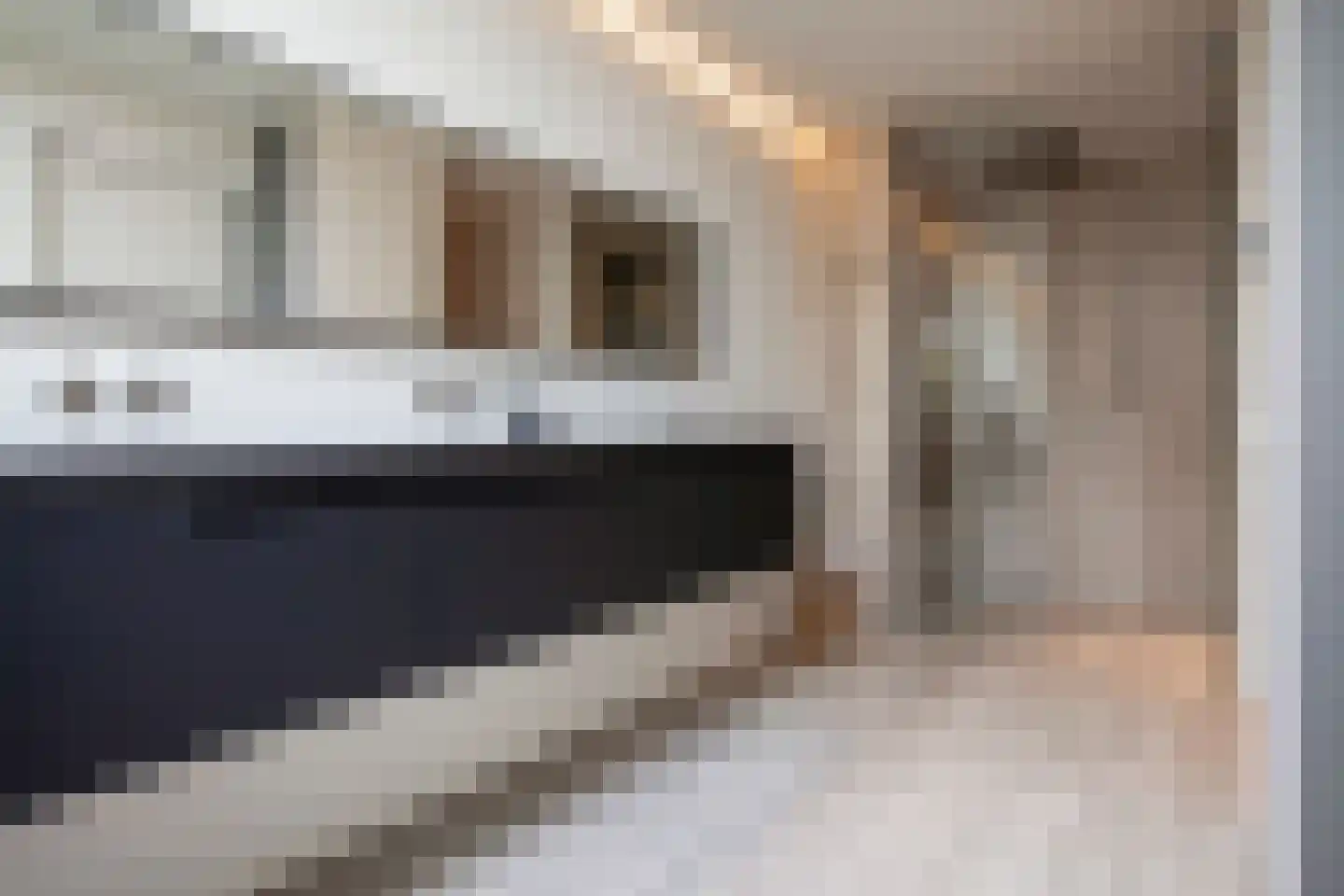 Molenweg 58 Berkel en Rodenrijs thumbnail 8