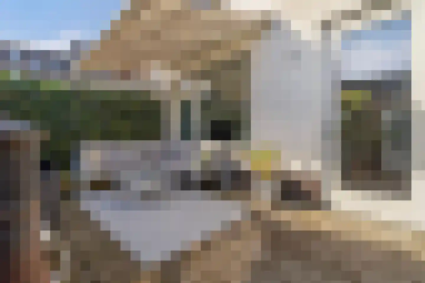 Molenweg 59 Roermond thumbnail 22