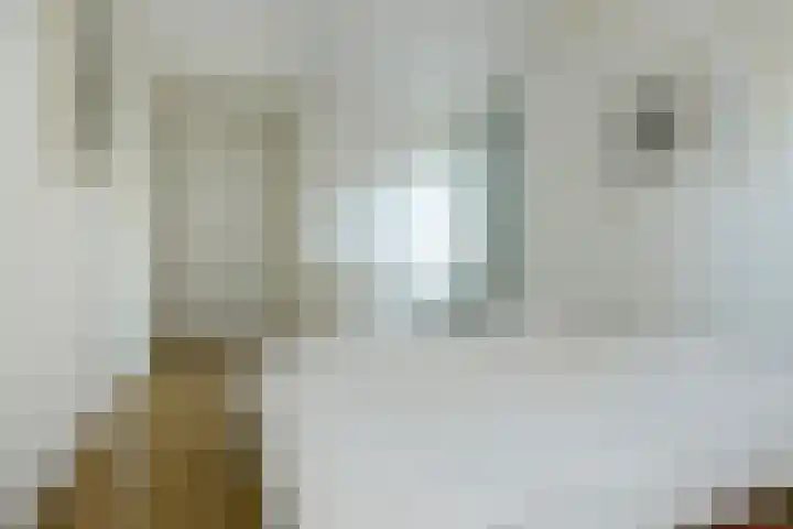 Molenweg 6 a Kruisland thumbnail 21