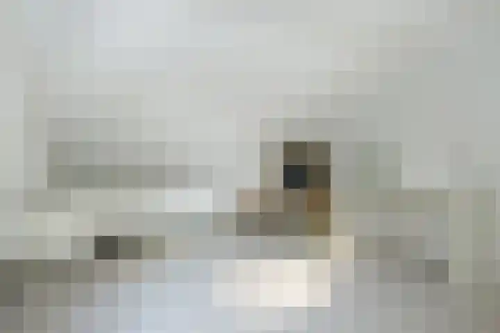 Molenweg 6 a Kruisland thumbnail 27