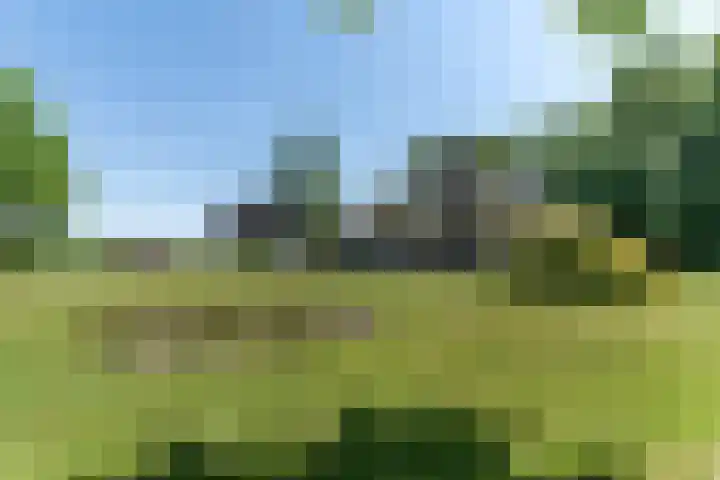 Molenweg 6 a Kruisland thumbnail 36