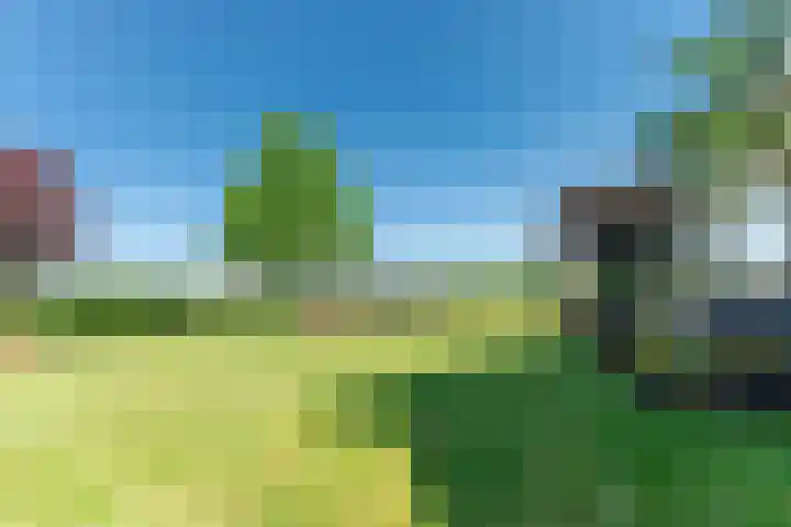 Molenweg 6 a Kruisland thumbnail 37