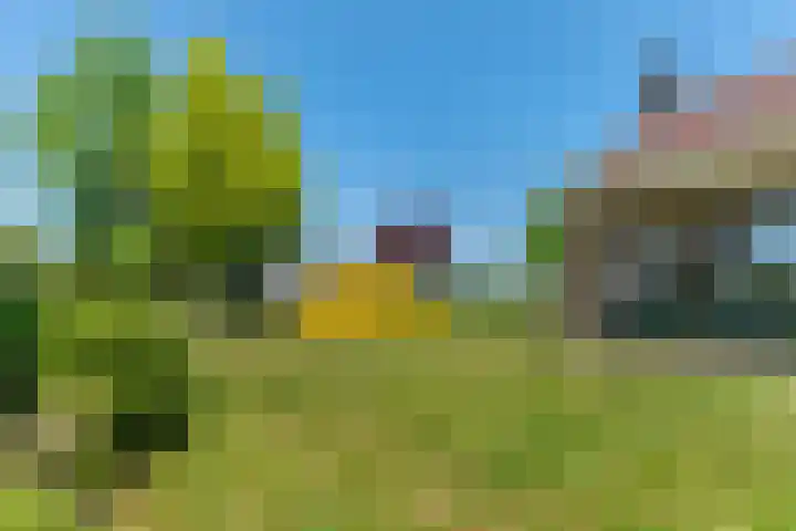 Molenweg 6 a Kruisland thumbnail 38