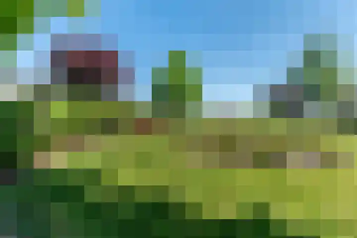 Molenweg 6 a Kruisland thumbnail 39