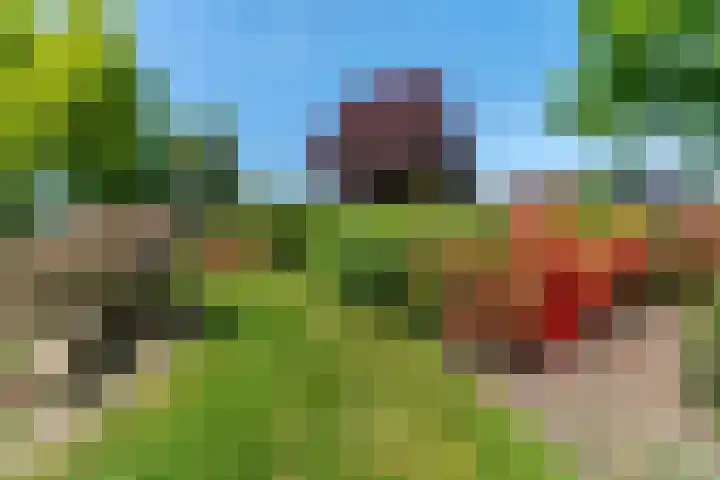 Molenweg 6 a Kruisland thumbnail 40