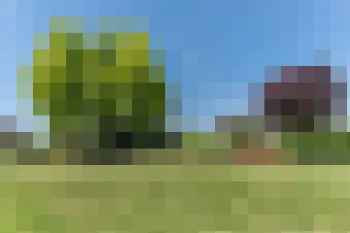 Molenweg 6 a Kruisland thumbnail 41