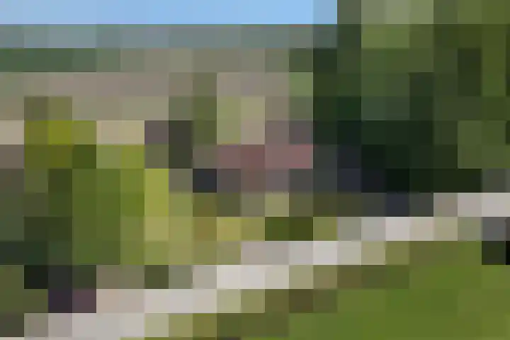 Molenweg 6 a Kruisland thumbnail 43