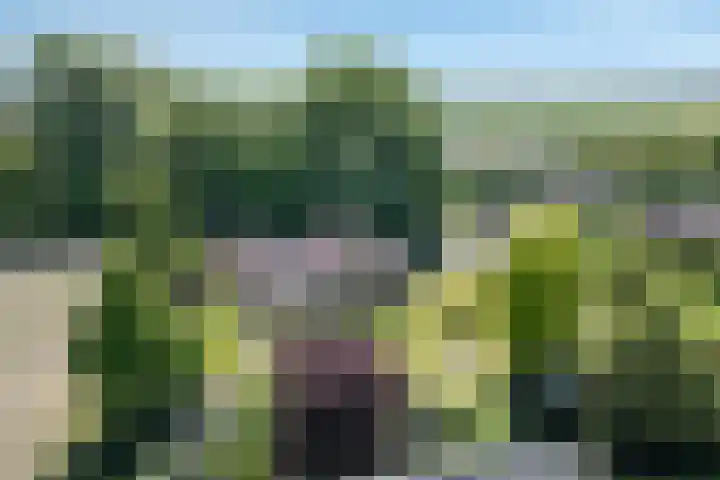 Molenweg 6 a Kruisland thumbnail 44