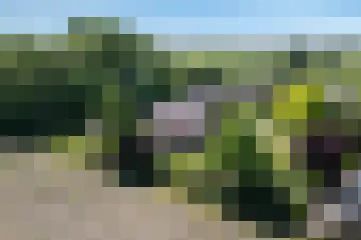 Molenweg 6 a Kruisland thumbnail 45