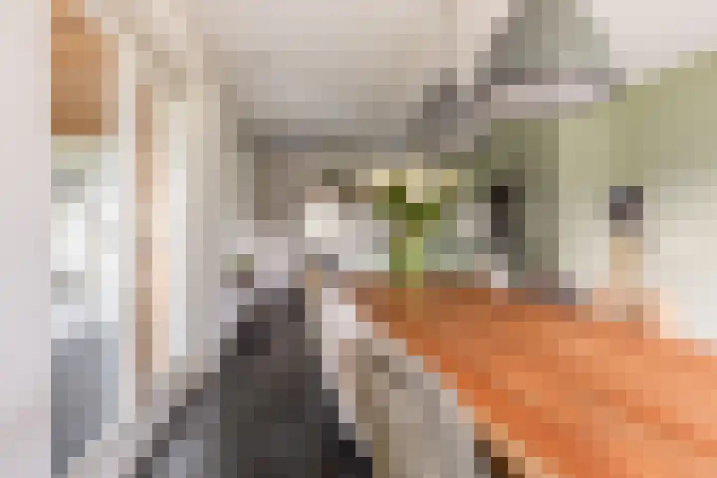 Molenweg 6 A Ursem thumbnail 12