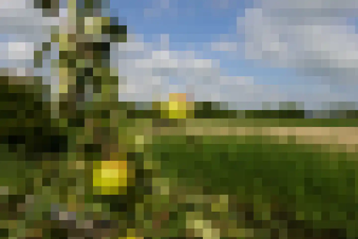 Molenweg 6 A Ursem thumbnail 42