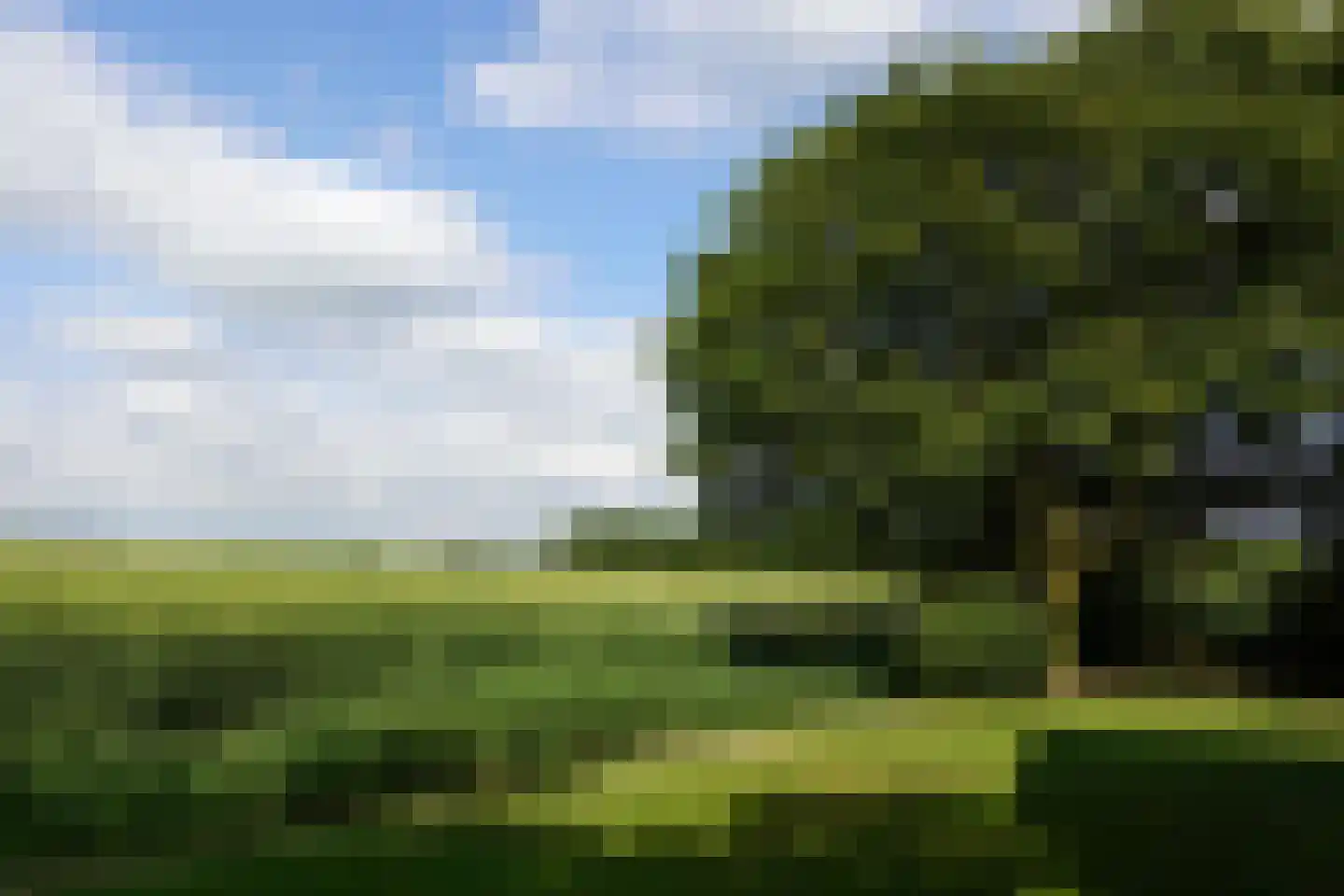Molenweg 6 A Ursem thumbnail 43
