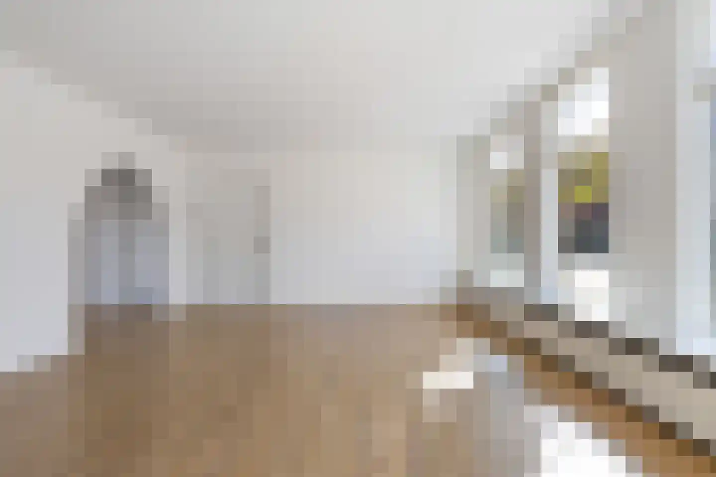 Molenweg 6 Joure thumbnail 12