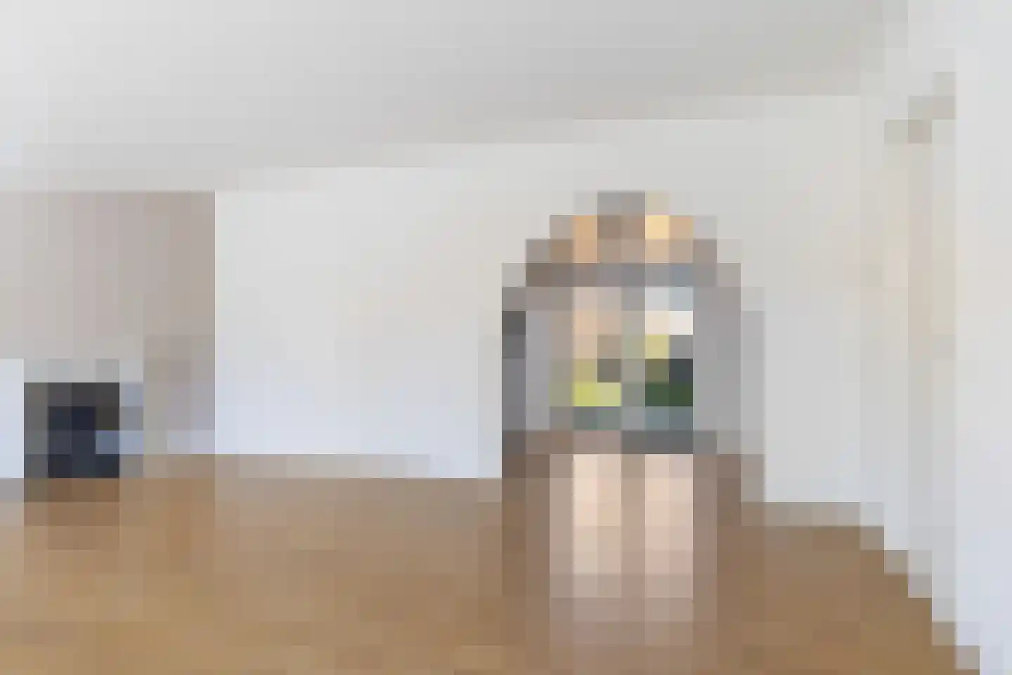 Molenweg 6 Joure thumbnail 13