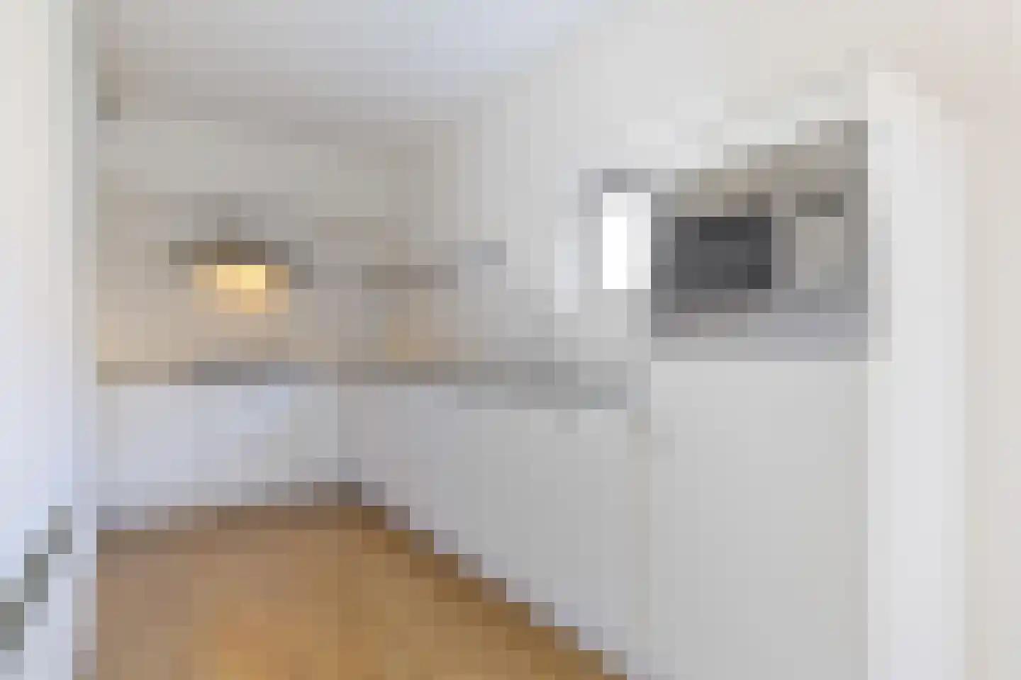 Molenweg 6 Joure thumbnail 14