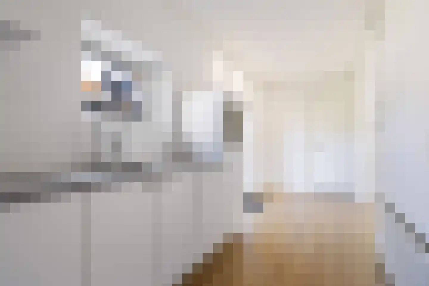 Molenweg 6 Joure thumbnail 15