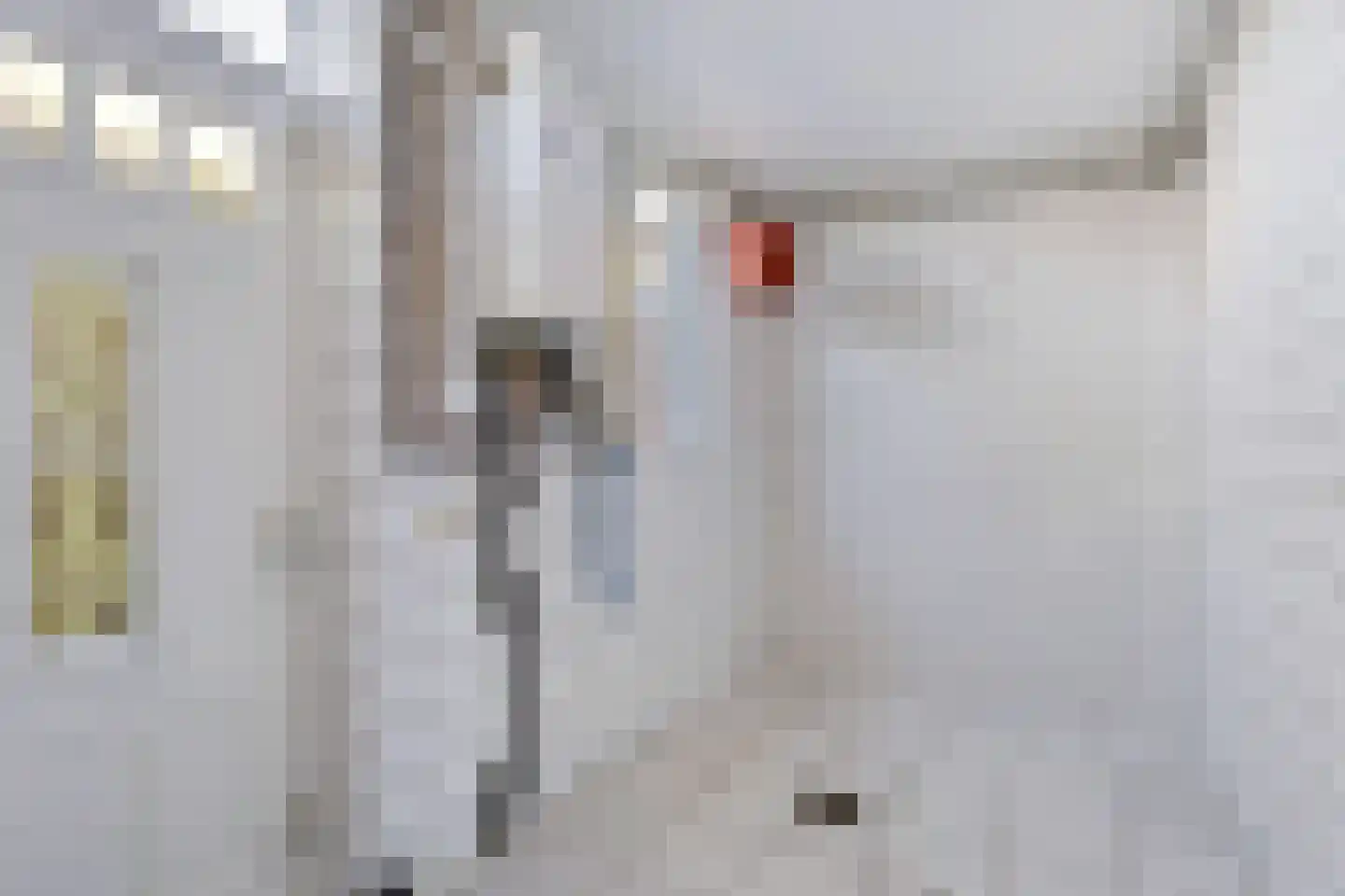 Molenweg 6 Joure thumbnail 18
