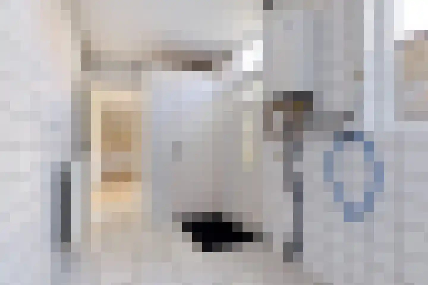 Molenweg 6 Joure thumbnail 19
