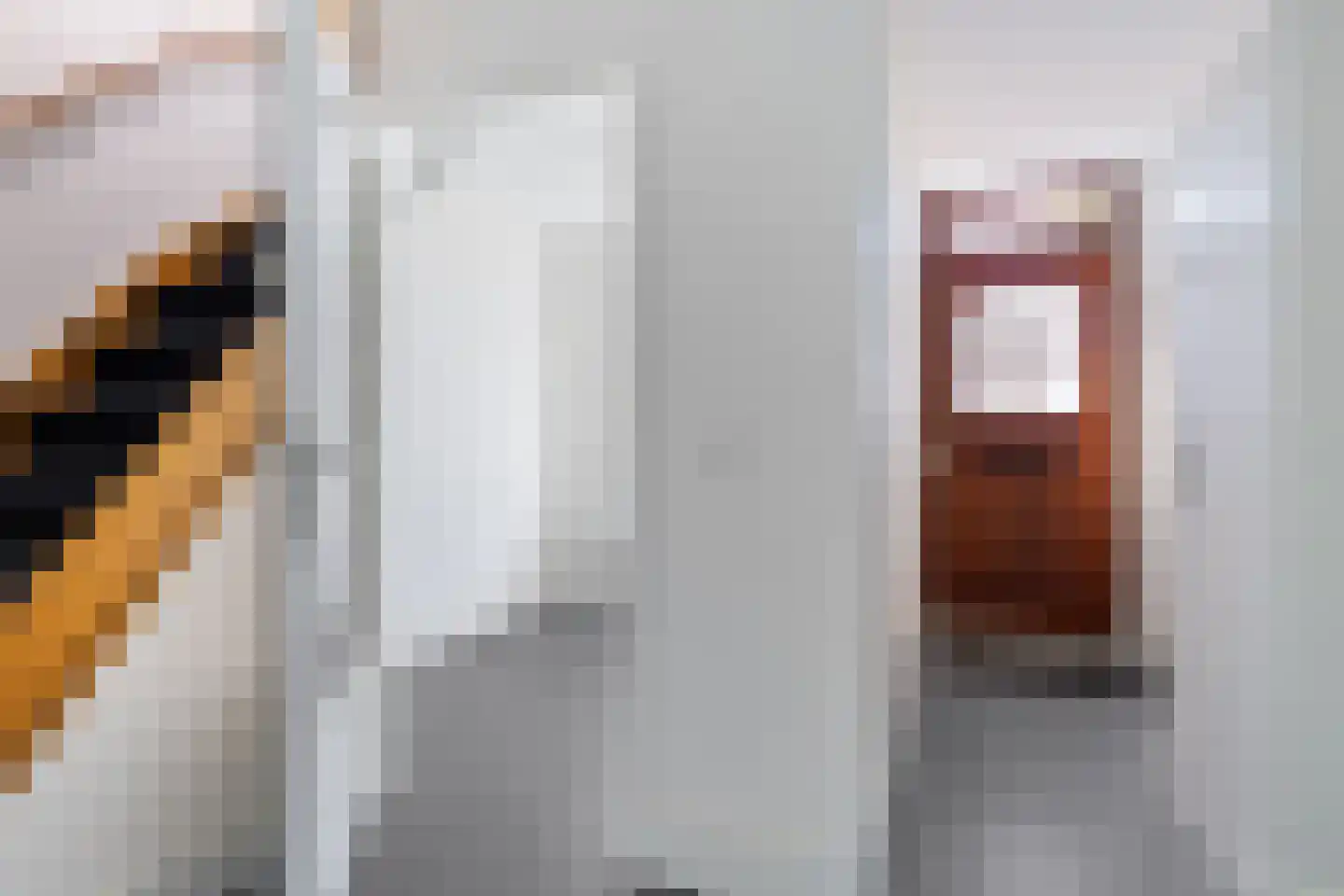 Molenweg 6 Joure thumbnail 21