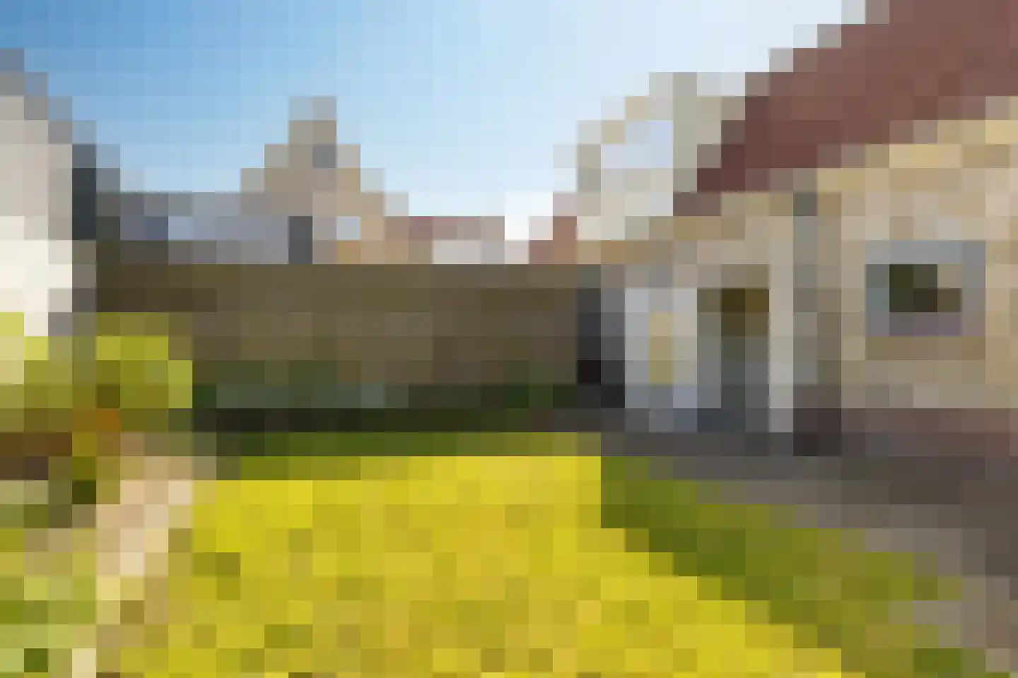 Molenweg 6 Joure thumbnail 28