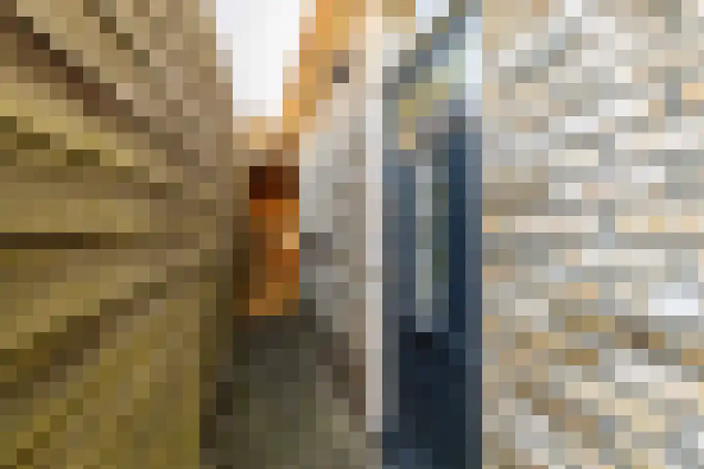 Molenweg 6 Joure thumbnail 29