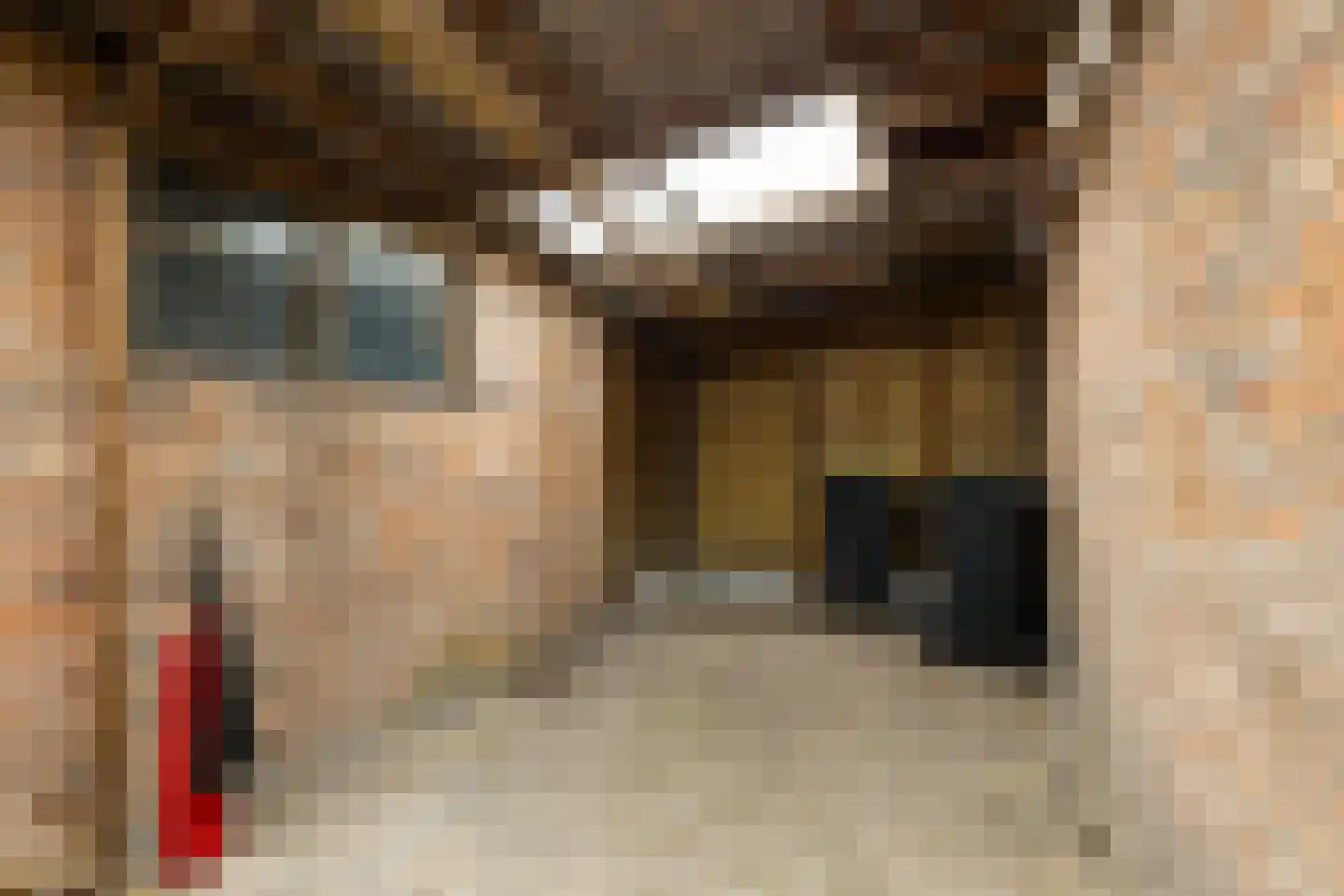 Molenweg 6 Joure thumbnail 30
