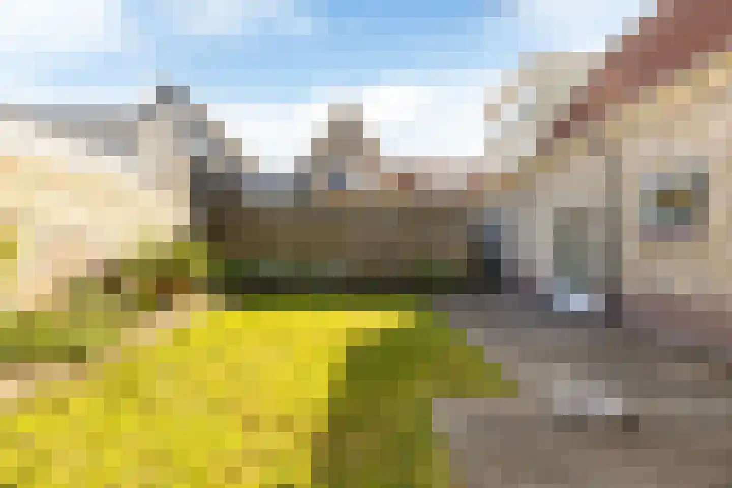 Molenweg 6 Joure thumbnail 31