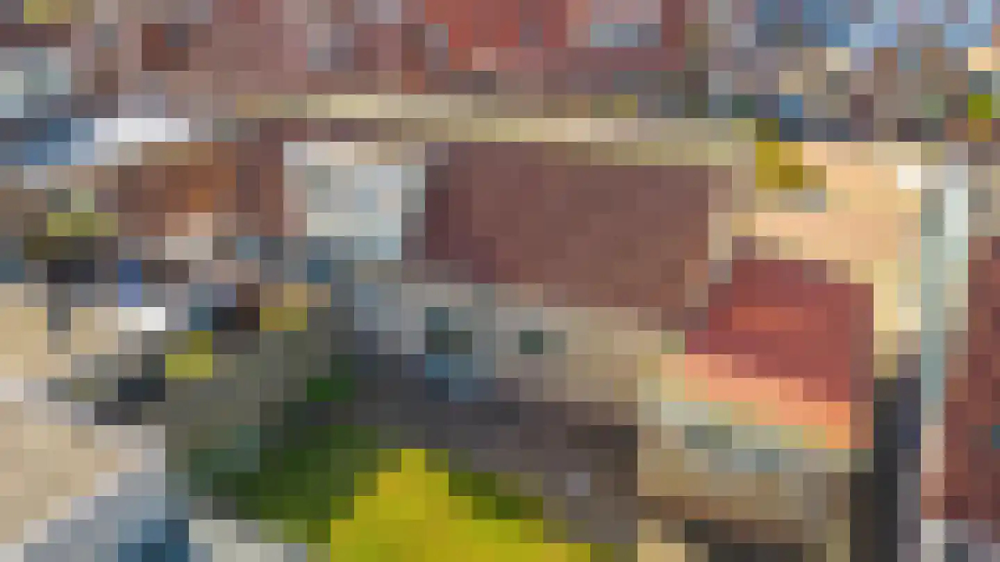 Molenweg 6 Joure thumbnail 32