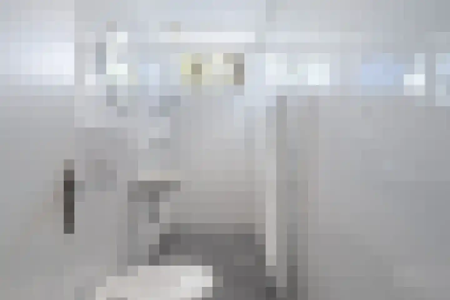 Molenweg 6 Joure thumbnail 33