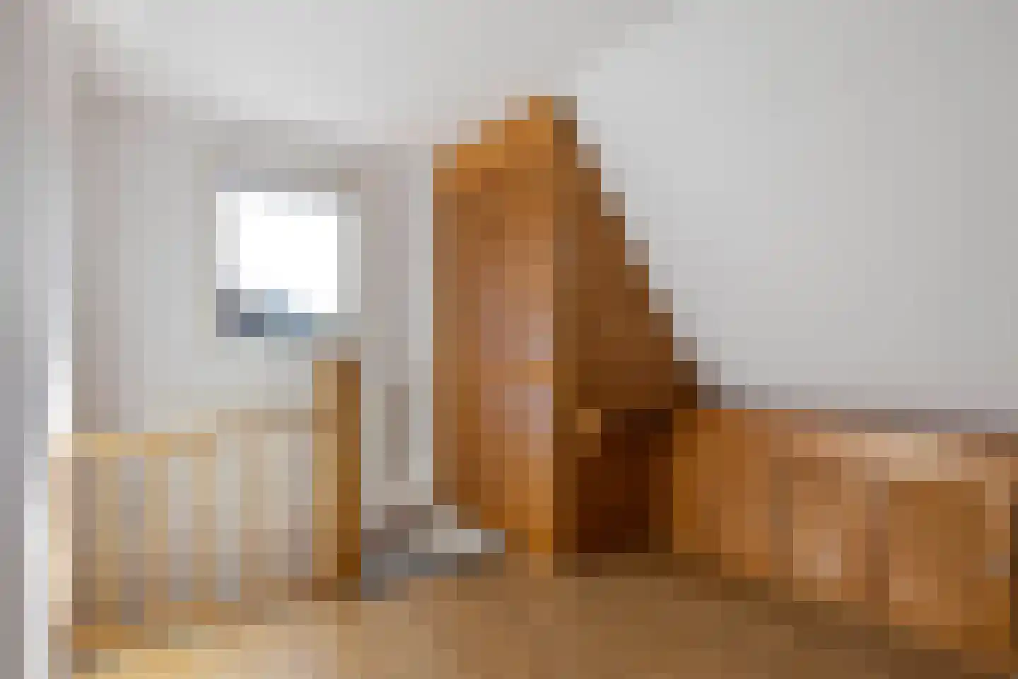 Molenweg 6 Joure thumbnail 35