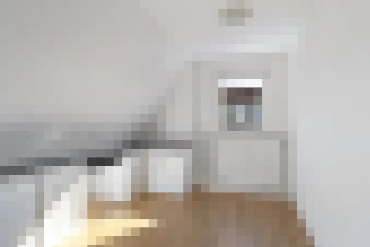 Molenweg 6 Joure thumbnail 38