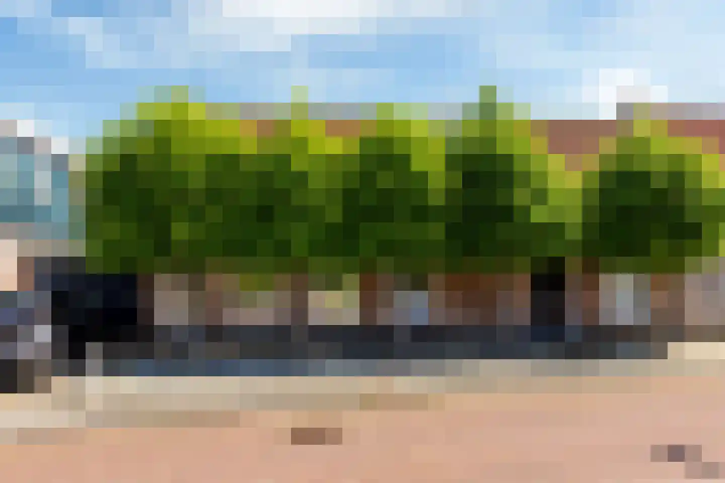 Molenweg 6 Joure thumbnail 5