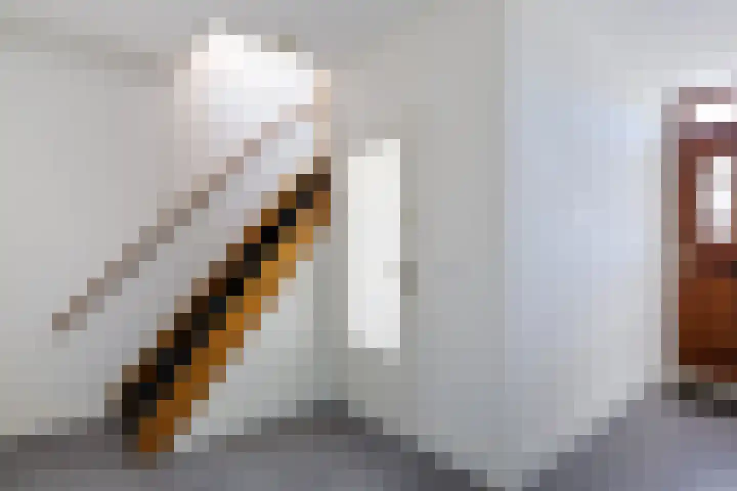 Molenweg 6 Joure thumbnail 9