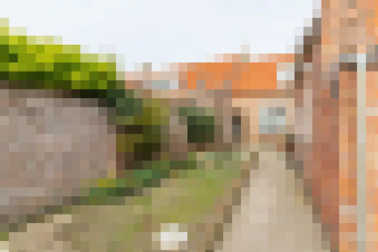 Molenweg 6 Westkapelle thumbnail 6