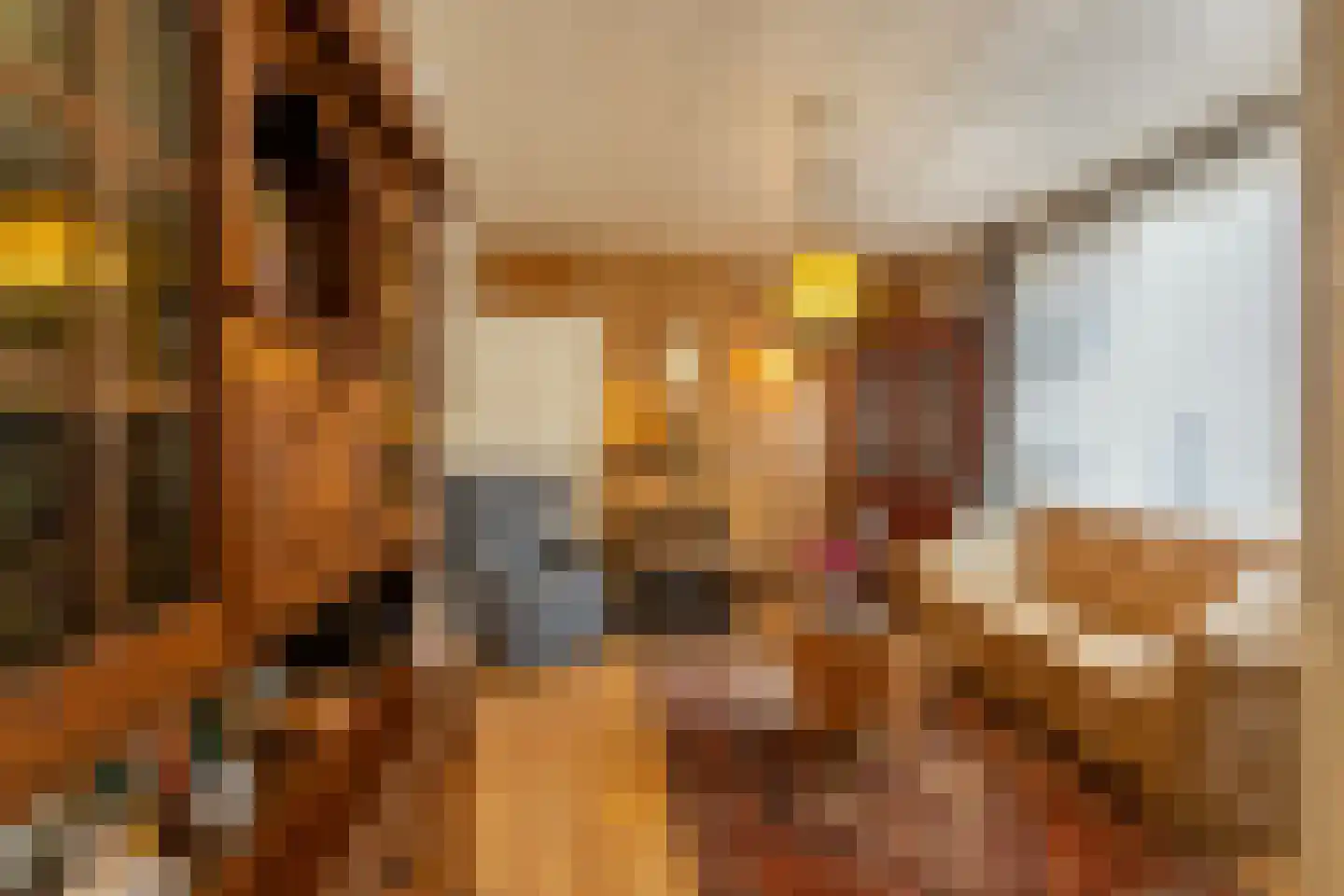 Molenweg 6 Westkapelle thumbnail 7