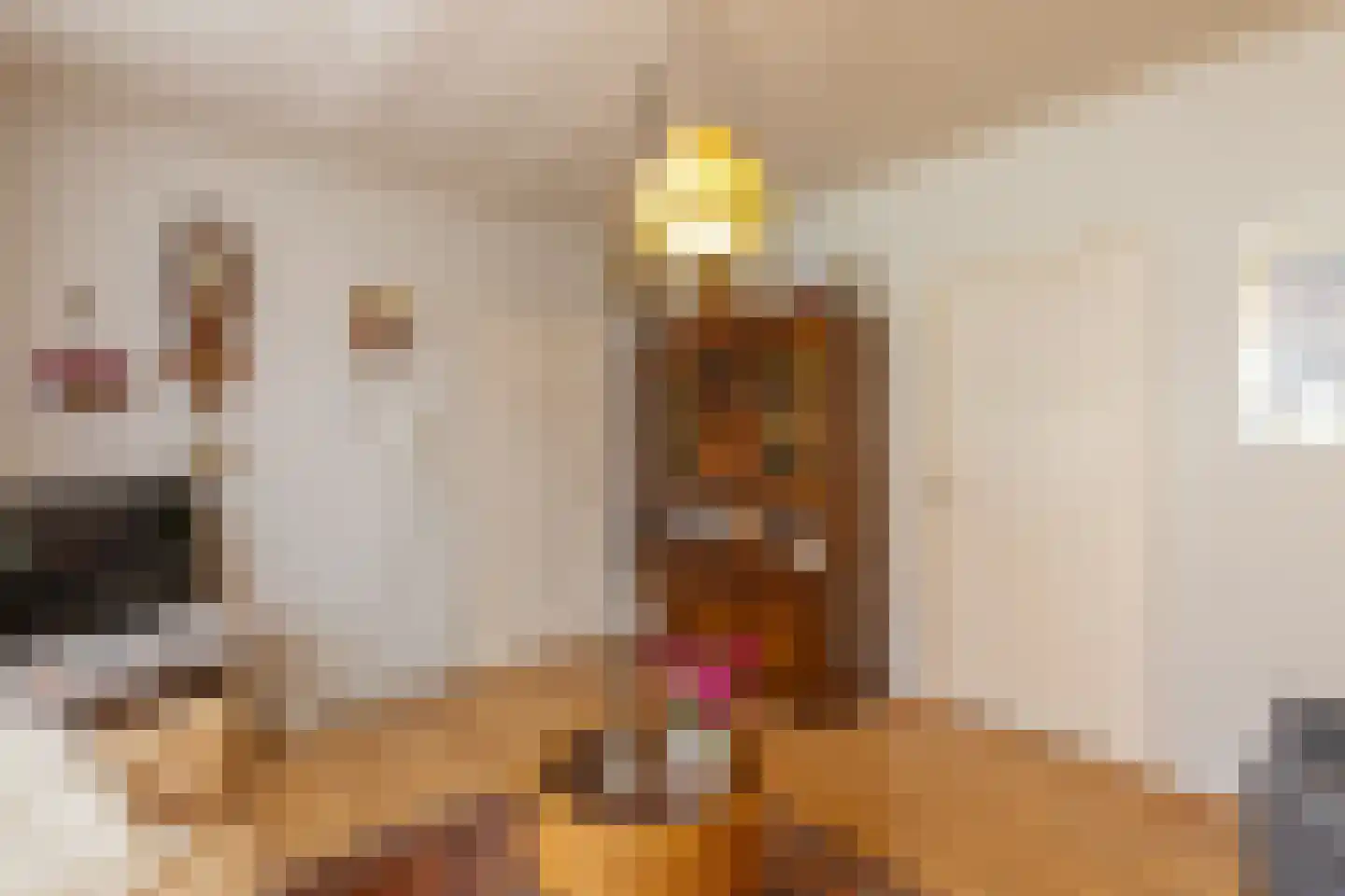 Molenweg 6 Westkapelle thumbnail 9