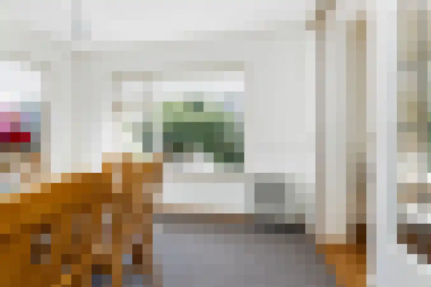 Molenweg 6 Wezep thumbnail 15