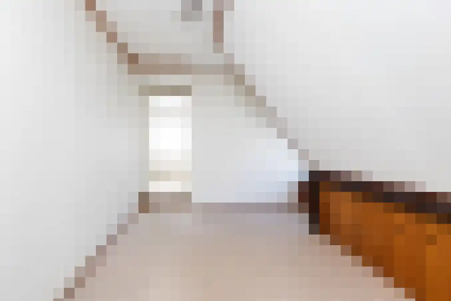 Molenweg 6 Wezep thumbnail 32