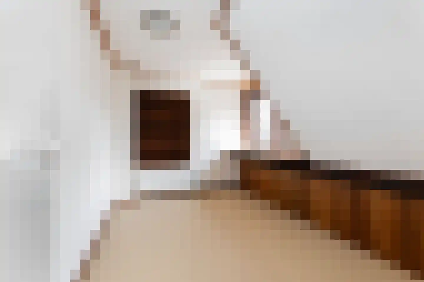 Molenweg 6 Wezep thumbnail 33