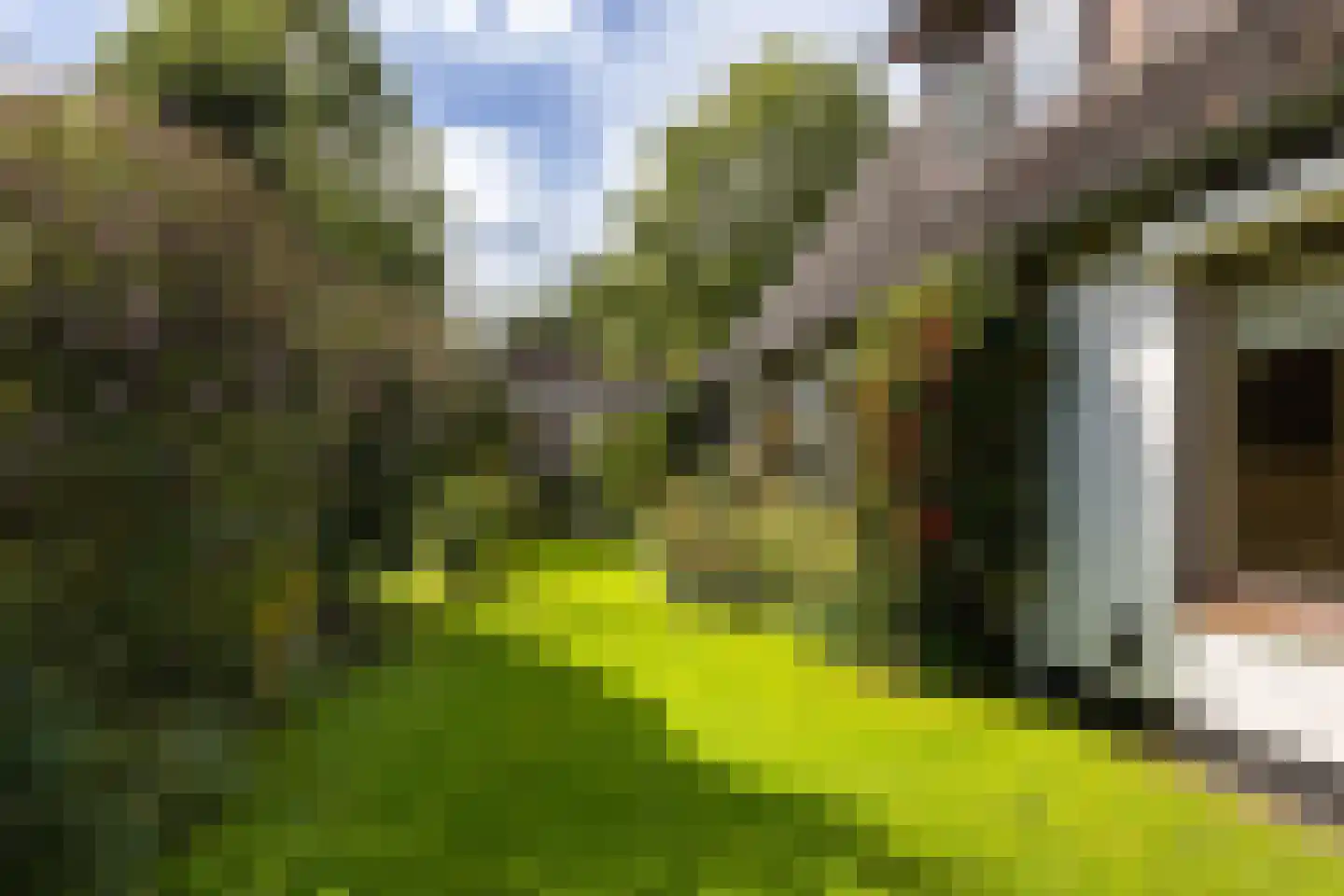 Molenweg 6 Wezep thumbnail 36