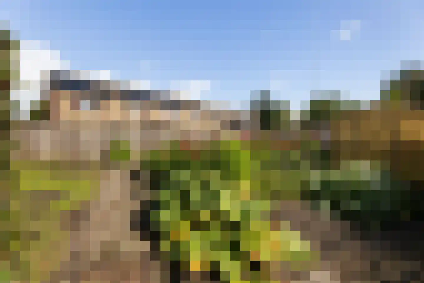 Molenweg 6 Wezep thumbnail 43