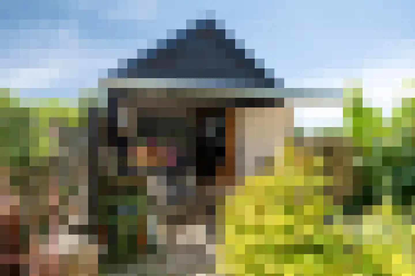 Molenweg 61 Kamperland thumbnail 31