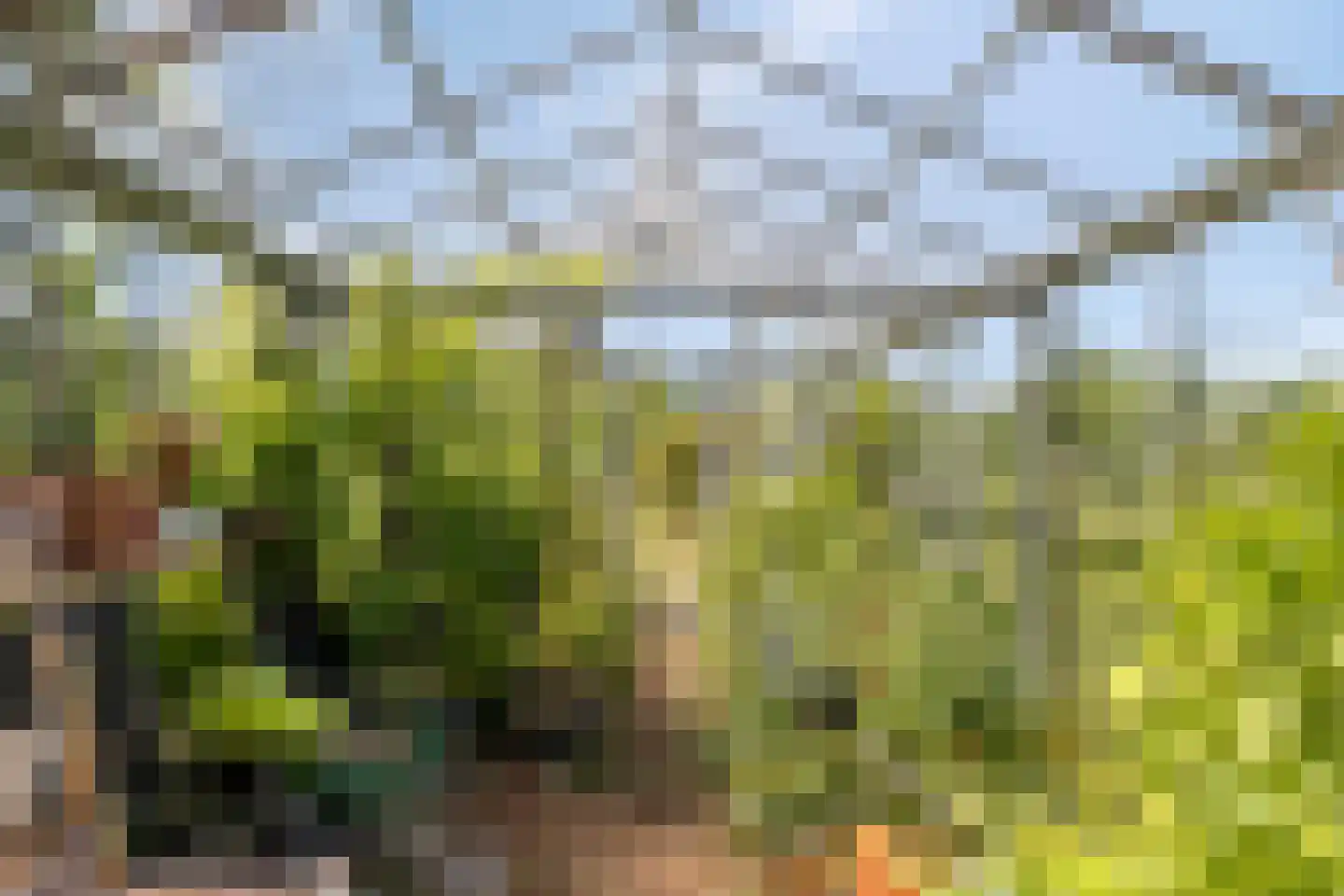 Molenweg 61 Kamperland thumbnail 33