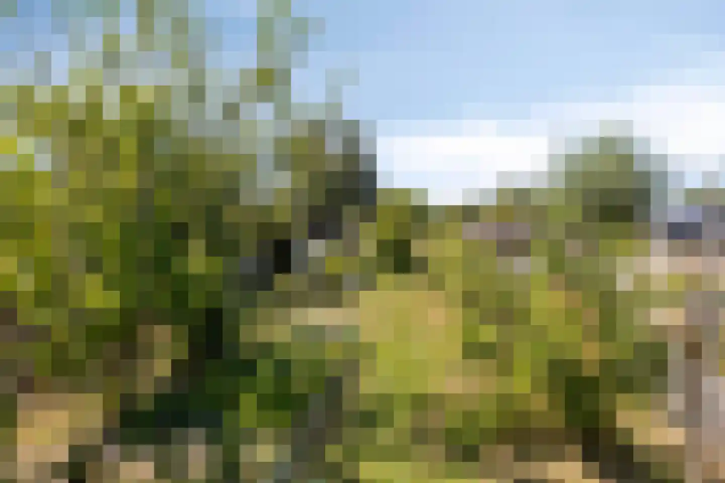 Molenweg 61 Kamperland thumbnail 34