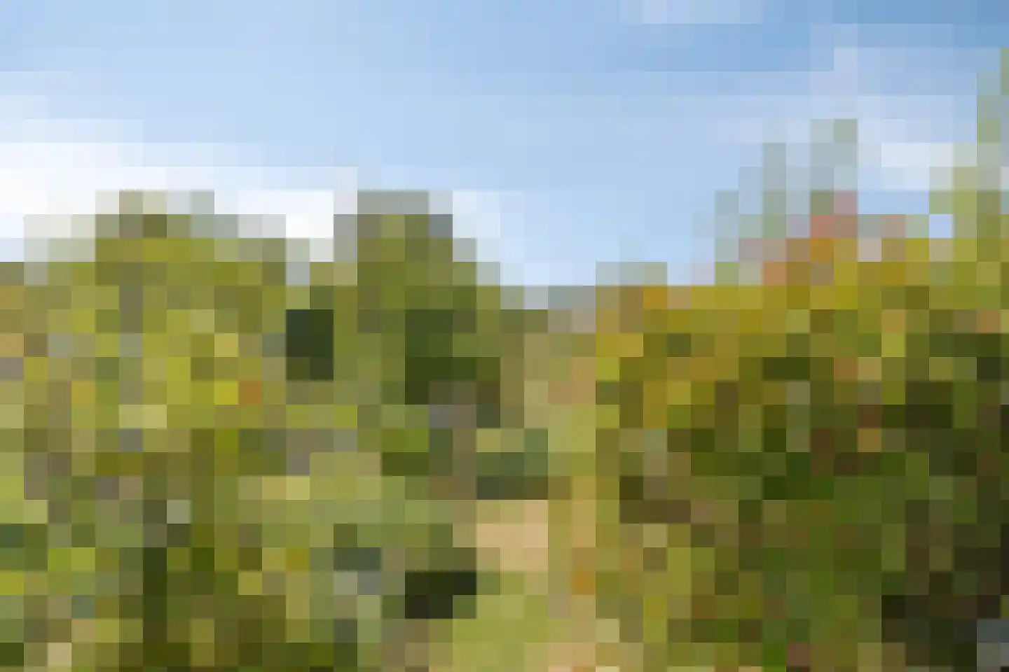 Molenweg 61 Kamperland thumbnail 35