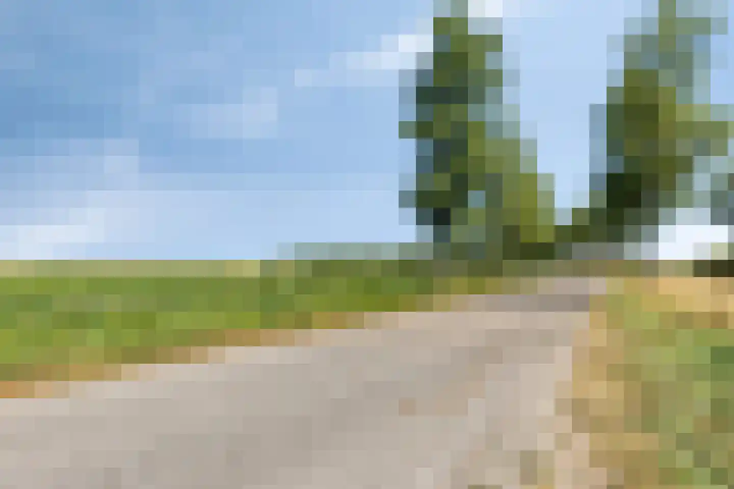Molenweg 61 Kamperland thumbnail 36