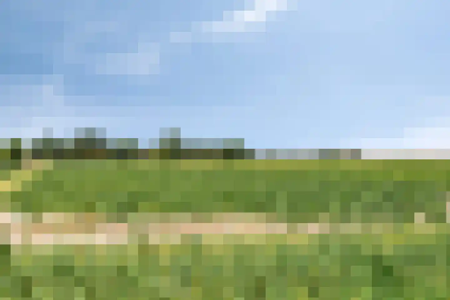 Molenweg 61 Kamperland thumbnail 37