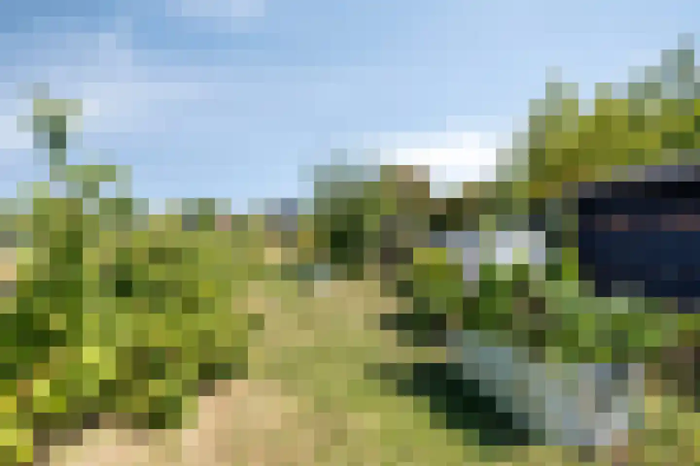 Molenweg 61 Kamperland thumbnail 4