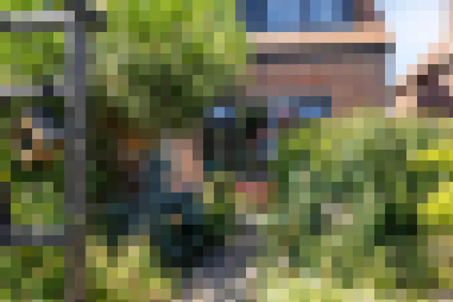 Molenweg 61 Kamperland thumbnail 7